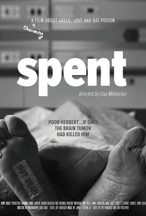 Удачно потраченные деньги / Spent (2017) 