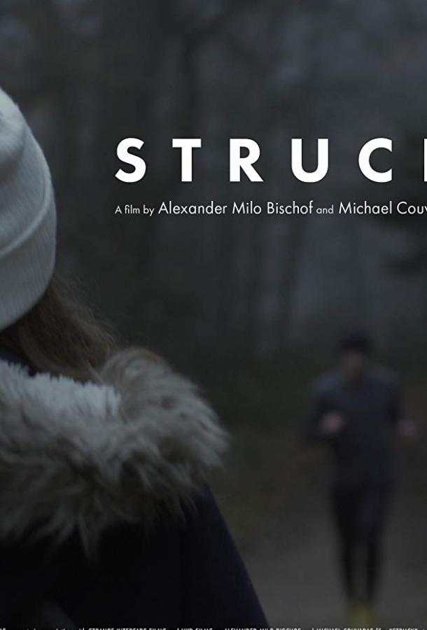 Шок / Struck (2017) 