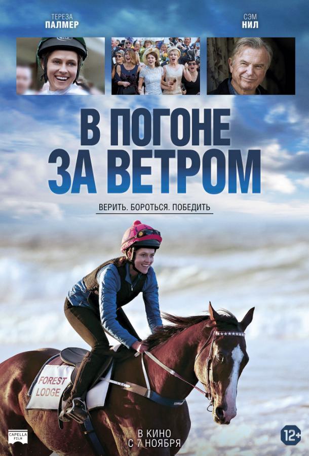   В погоне за ветром (2019) 