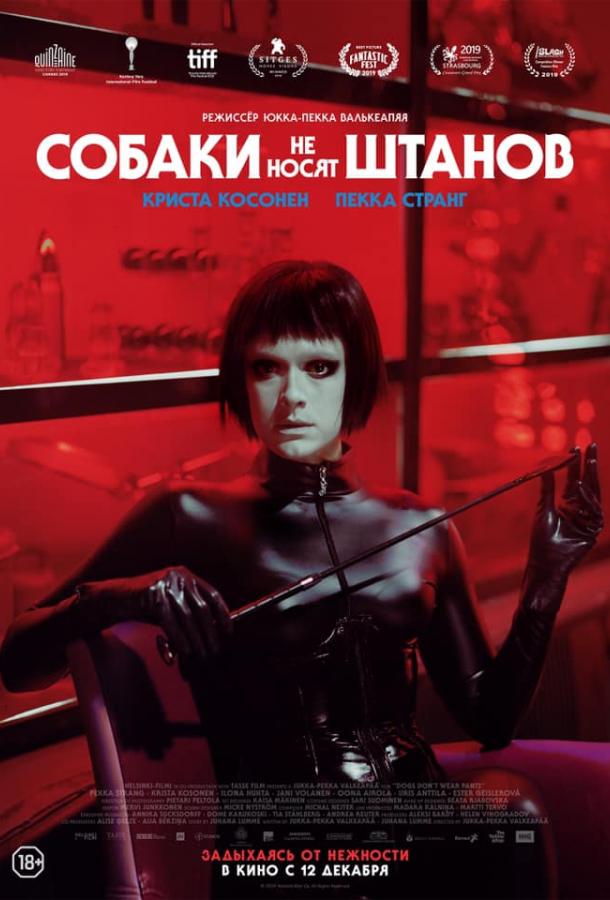   Собаки не носят штанов (2019) 