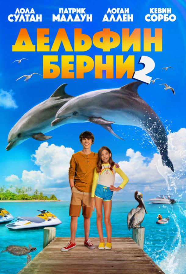   Дельфин Берни 2 (2019) 