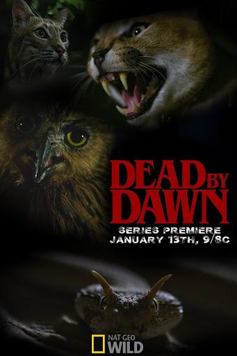 Дожить до рассвета / Dead by Dawn (2019) 