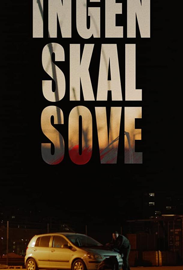   Ingen skal sove (2019) 