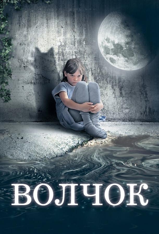 Волчок (2009) 