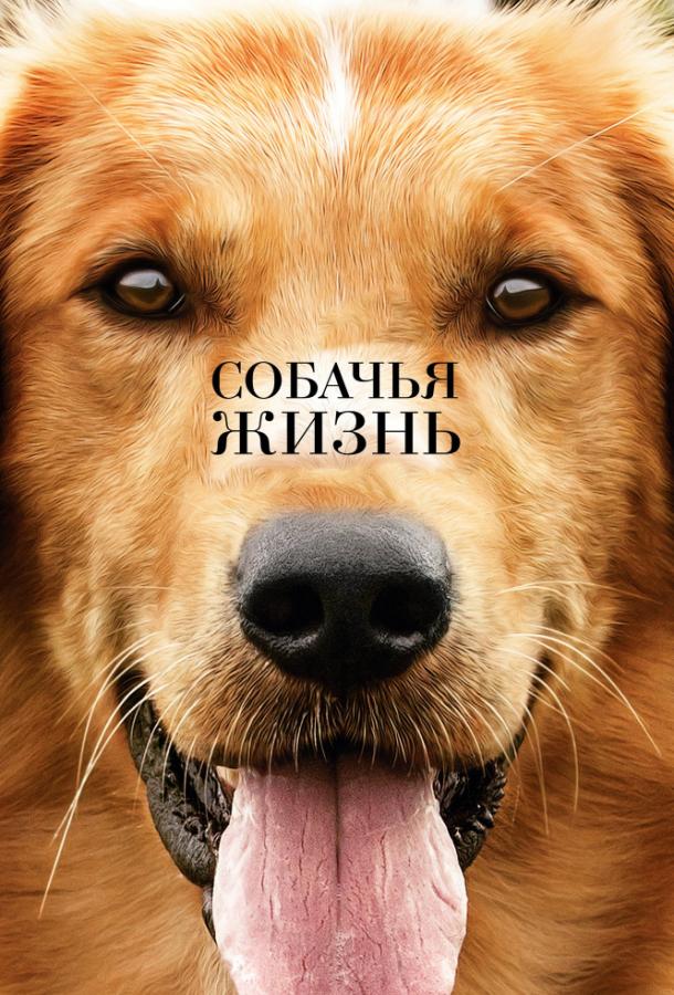 Собачья жизнь / A Dog's Purpose (2017) 