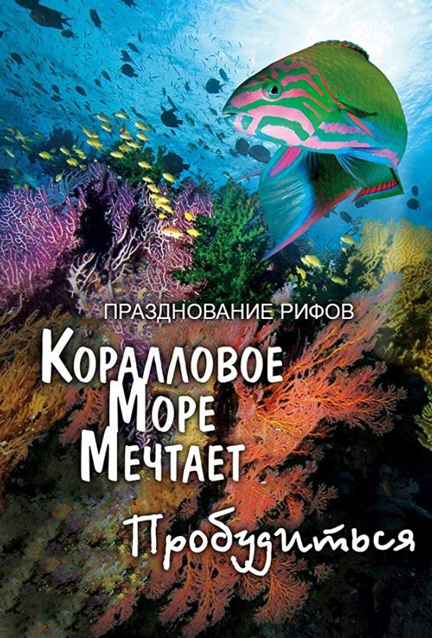 Грёзы Кораллового моря: Пробуждение / Coral Sea Dreaming: Awaken (2009) 