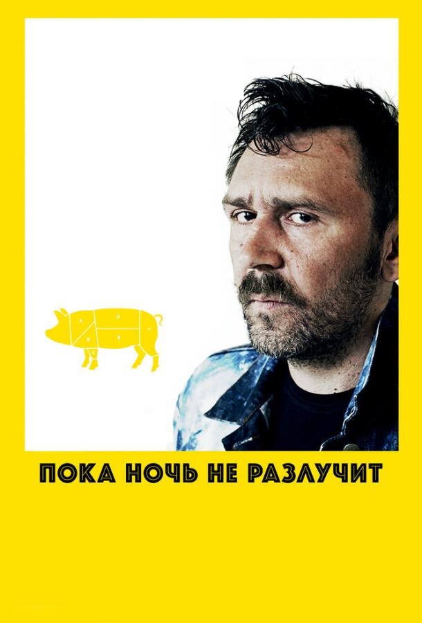 Пока ночь не разлучит (2012) 