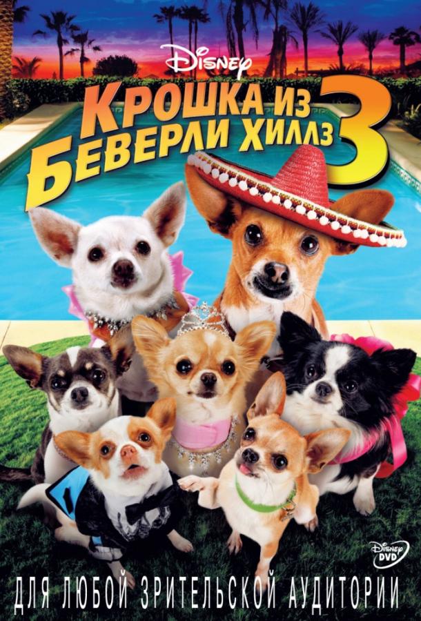 Крошка из Беверли-Хиллз 3 / Beverly Hills Chihuahua 3: Viva La Fiesta! (2012) 