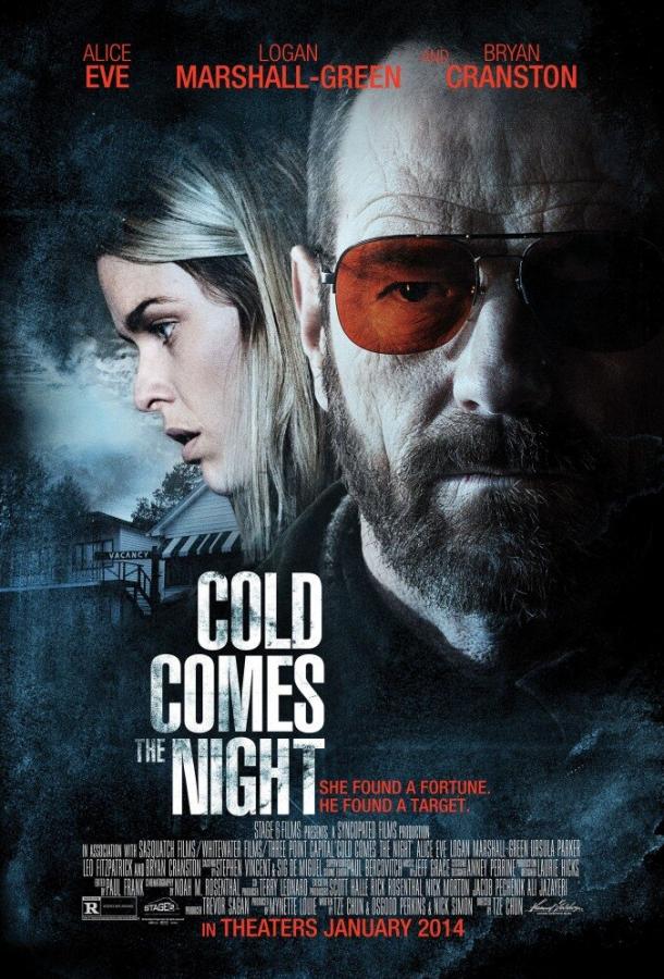 Взгляд зимы / Cold Comes the Night (2013) 