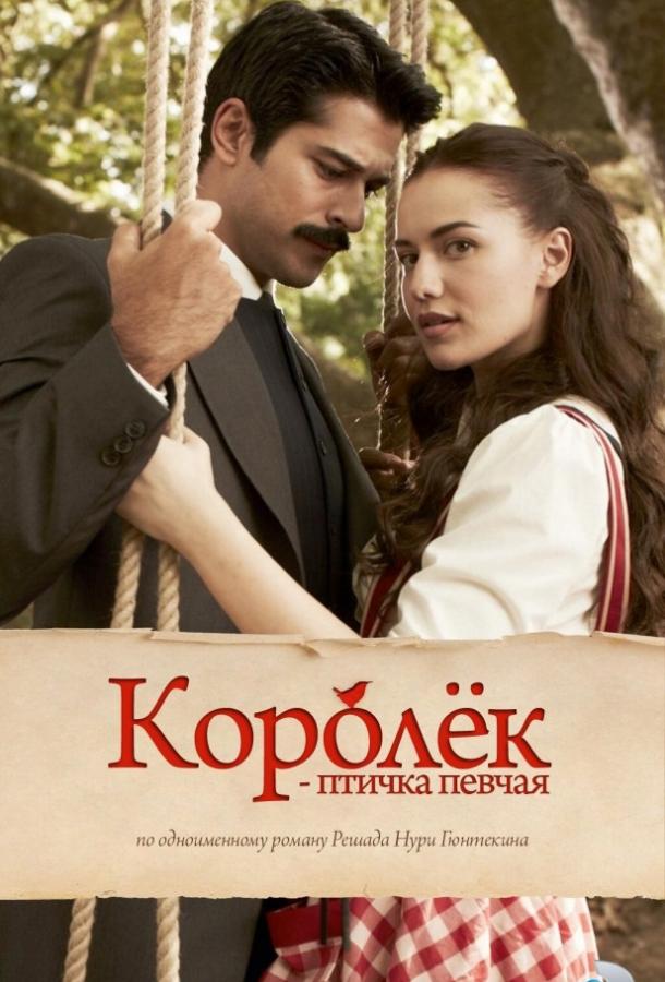 Королёк – птичка певчая сериал (2013)