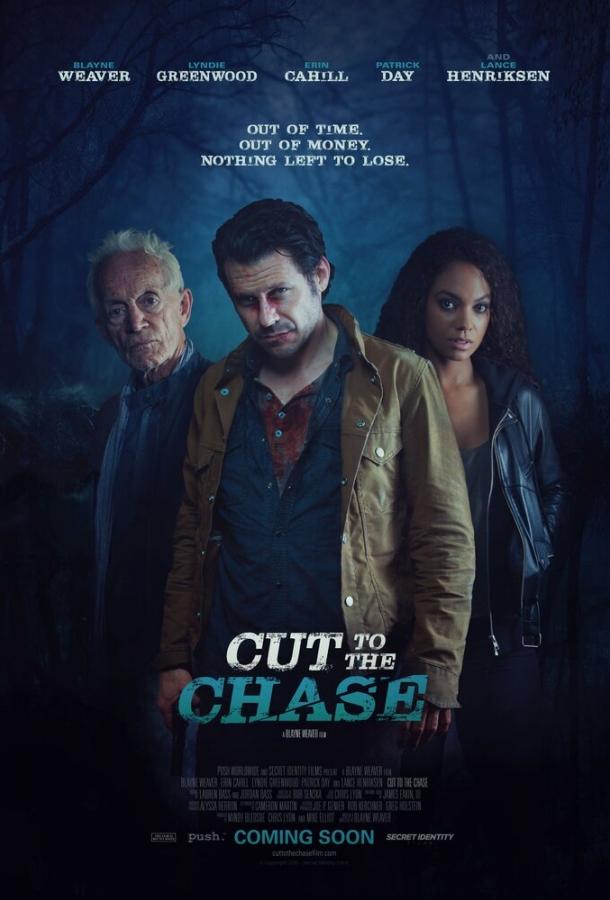 В поисках истины / Cut to the Chase (2016) 