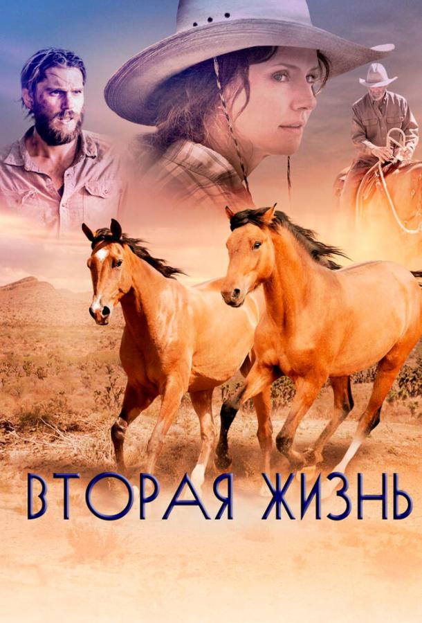   Вторая жизнь (2017) 