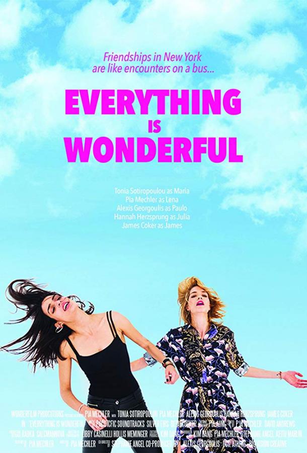   Everything Is Wonderful (2017) 