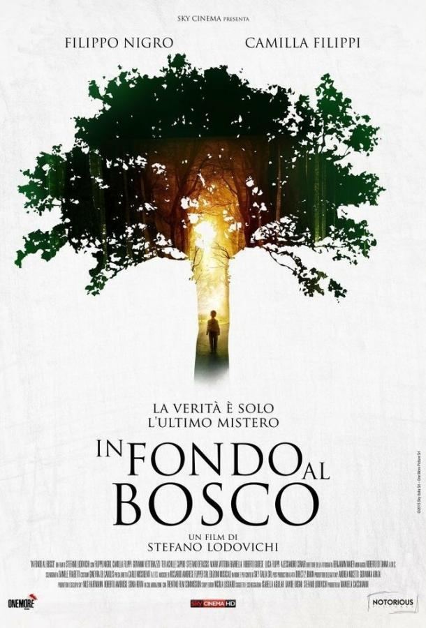 В глубине леса / In fondo al bosco (2015) 