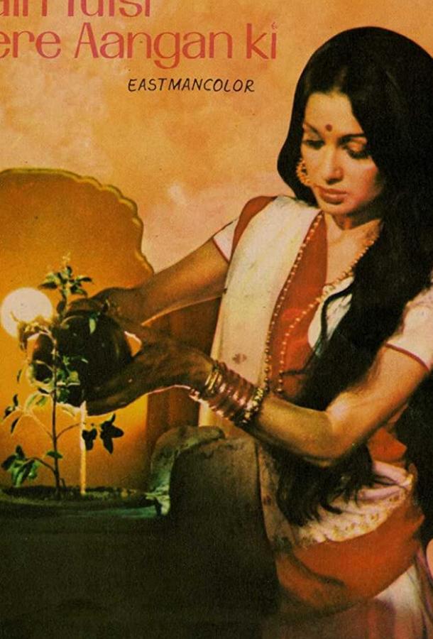 Внебрачный сын / Main Tulsi Tere Aangan Ki (1978) 