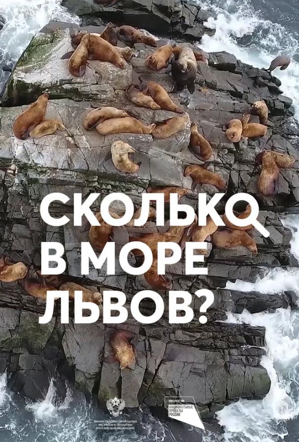 Сколько в море львов? (2018) 