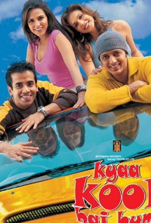 Крутая компания / Kyaa Kool Hai Hum (2005) 