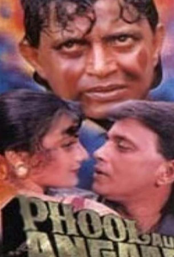 Цветок и пламя / Phool Aur Angaar (1993) 