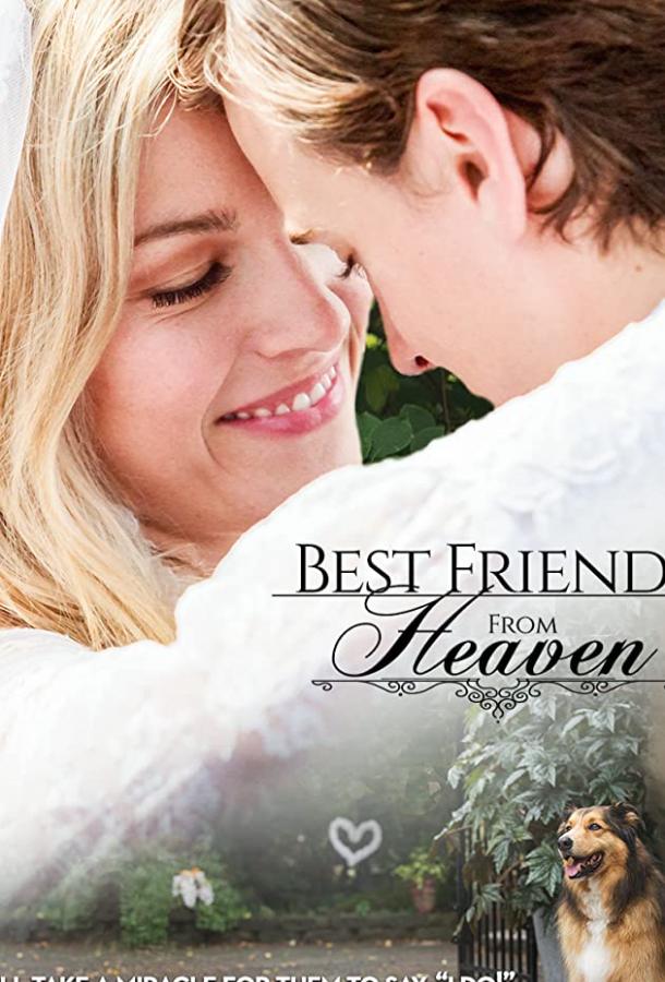 Лучший друг с небес / Best Friend from Heaven (2017) 