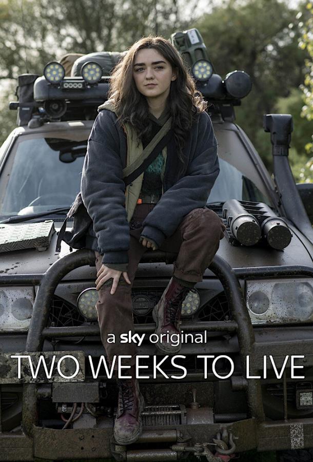 Успеть за две недели / Две недели для жизни / Two Weeks to Live (2020) 