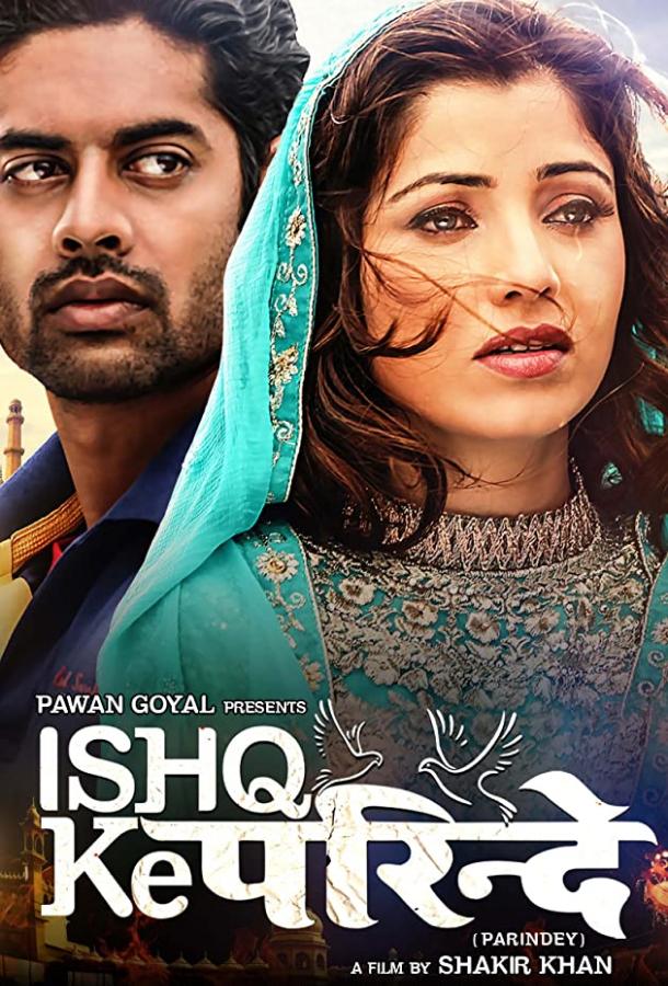 Любовь не знает границ / Ishq Ke Parindey (2015) 