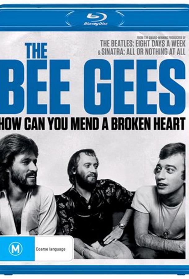 The Bee Gees: How Can You Mend a Broken Heart (2020) 