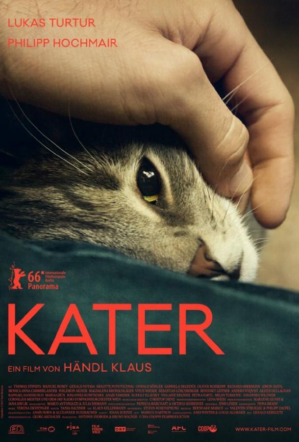 Кот / Kater (2016) 