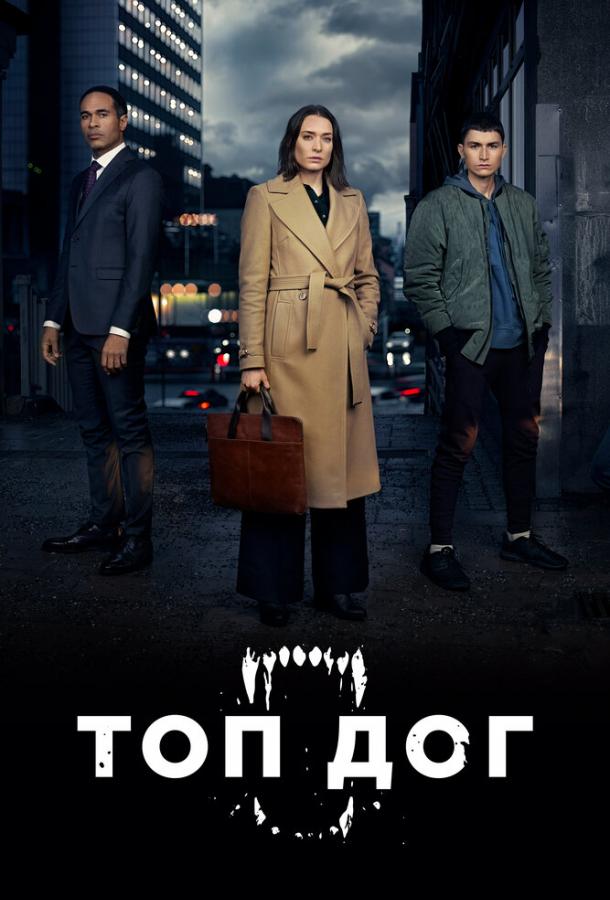 онлайн, без рекламы! Топ дог / Top Dog (2020) 