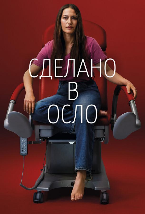 Сделано в Осло сериал (2022)