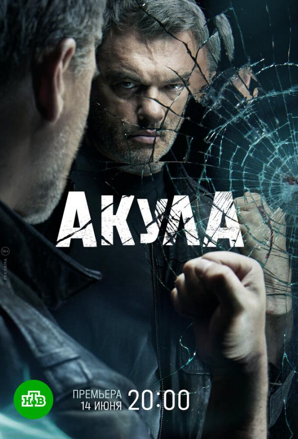 Акула сериал (2022)