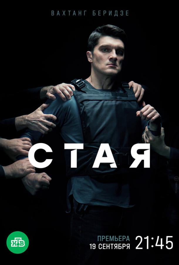 Стая сериал (2022)