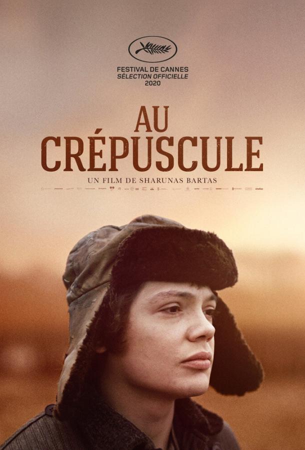 В сумерках фильм (2019)