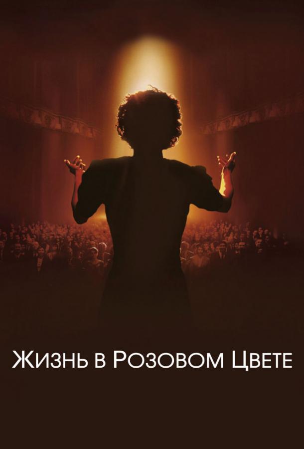 Жизнь в розовом цвете фильм (2007)